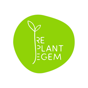 Replantegem